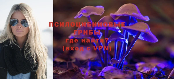 меф Нефтегорск