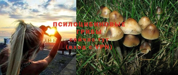 первитин Абинск