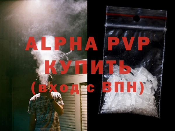 спиды Абаза