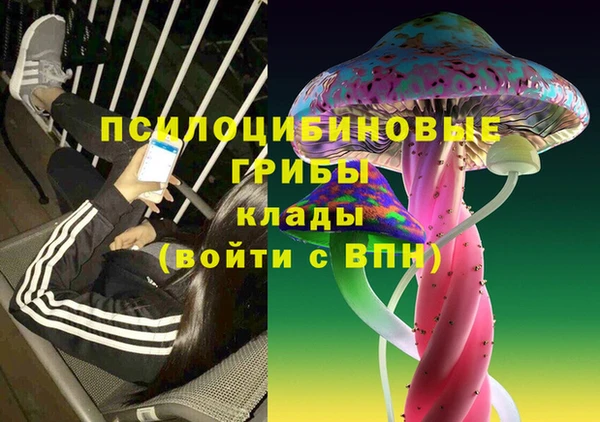 спиды Абаза