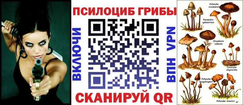 Псилоцибиновые грибы Cubensis  где купить наркоту  Новокубанск 