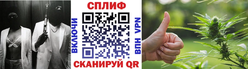 Каннабис OG Kush Новокубанск
